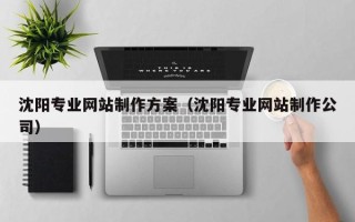 巴中沈阳专业网站制作方案（沈阳专业网站制作公司）